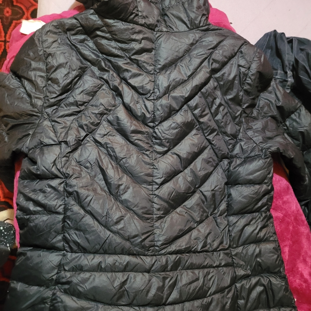 Jacket - Picture 3 of 5